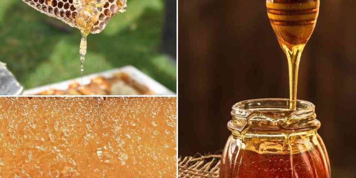 Honey Processing Plant Project Report 2024, Business Plan, Cost and Raw Material Requirements