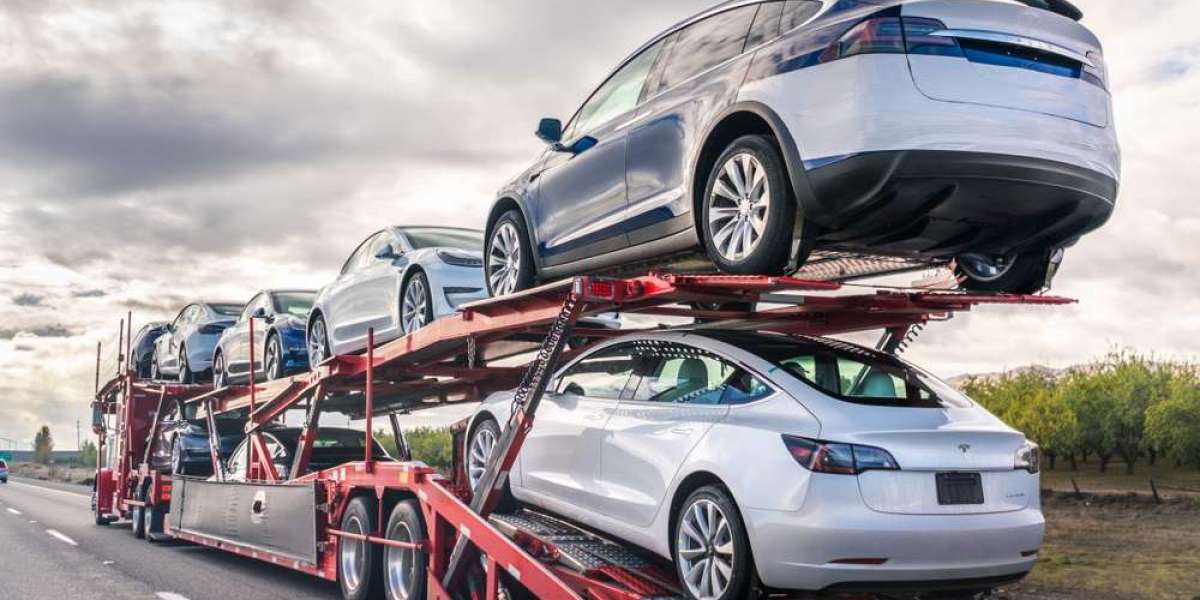 What Are The Types of Car Transportation Services In Virginia?