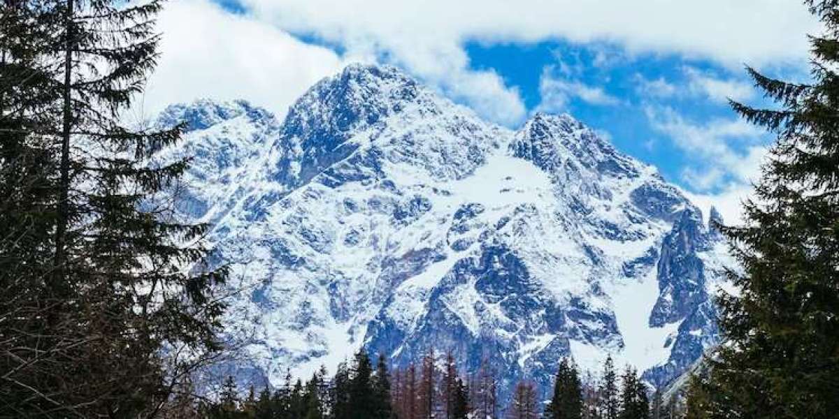 Plan a trip to Manali