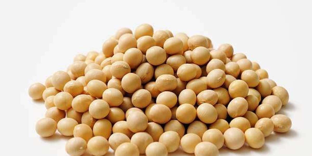 Soy Protein Market Trends, Analysis, Growth Opportunities, Updates, News and Data