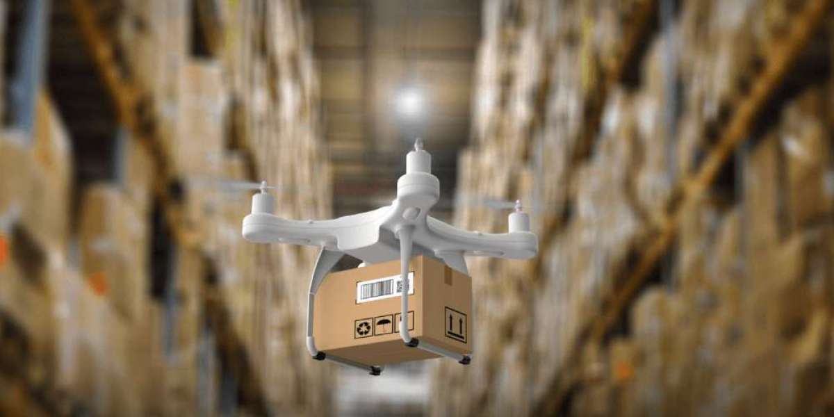 Drone Package Delivery Market Research Report: Analyzing Size and Growth Patterns