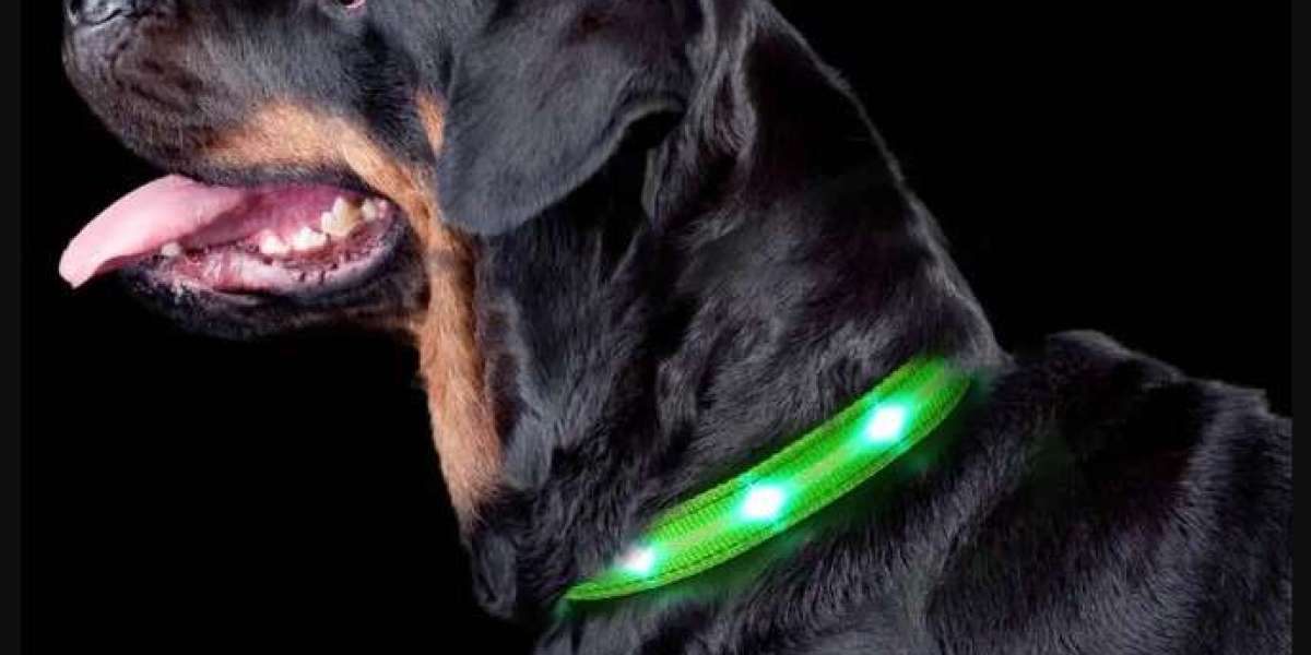 Cox Creek Pet has rechargeable and waterproof LED dog collars.