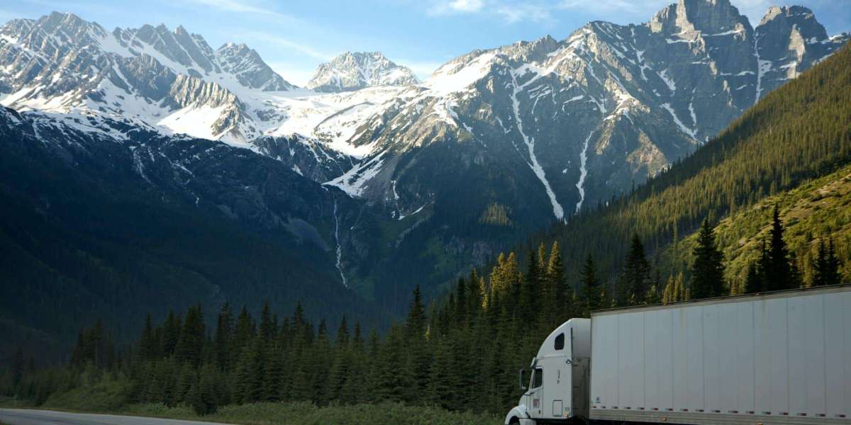 Trucking for Dollars: A Roadmap to Financial Success with Your Semi