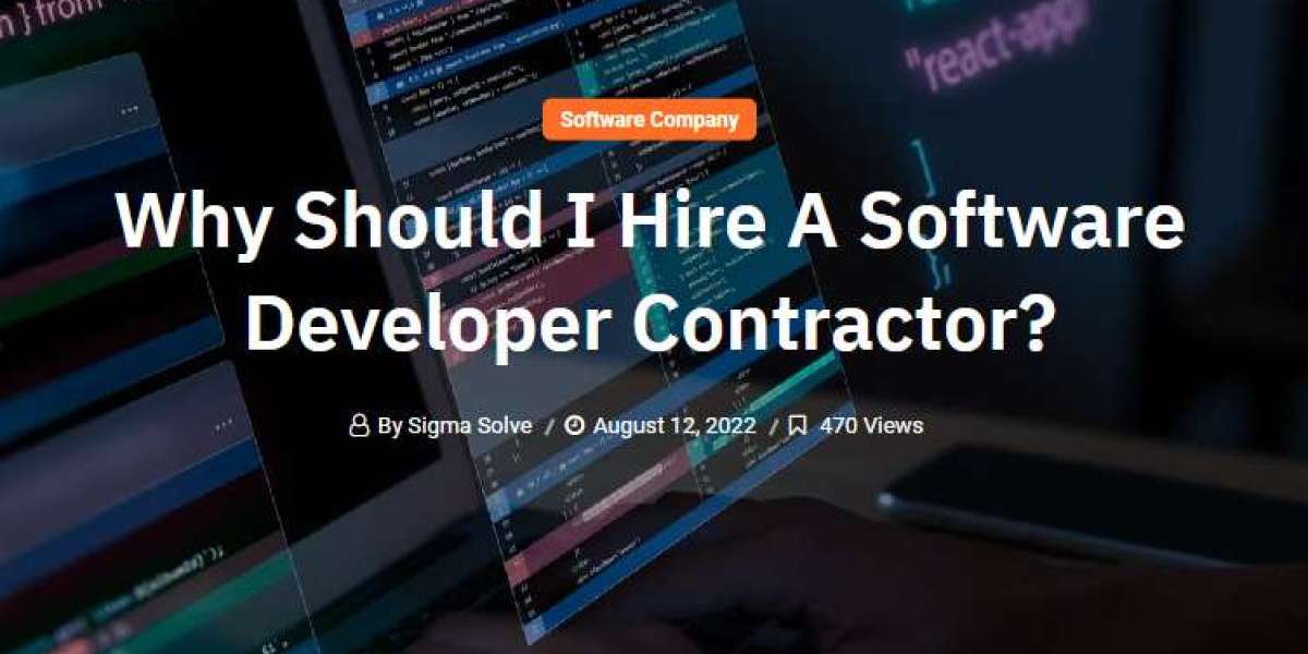 Why Should I Hire A Software Developer Contractor?
