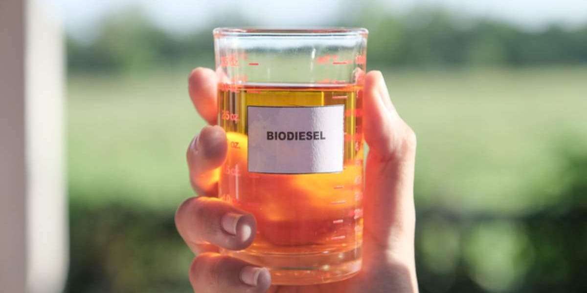 Biodiesel Manufacturing Plant Project Report 2024, Requirements and Costs Involved