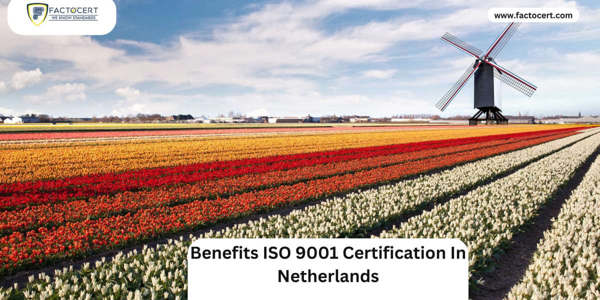 Benefits of ISO 9001 Certification in Netherlands