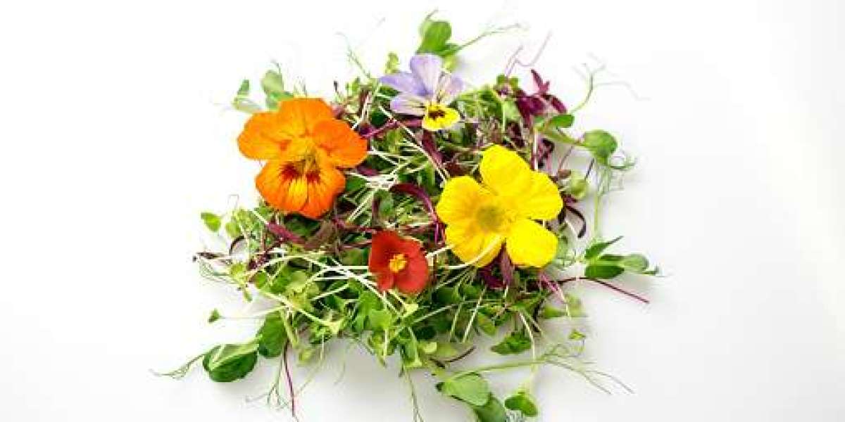 Edible Flowers Market Trends, Statistics, Key Players, Revenue, and Forecast 2032