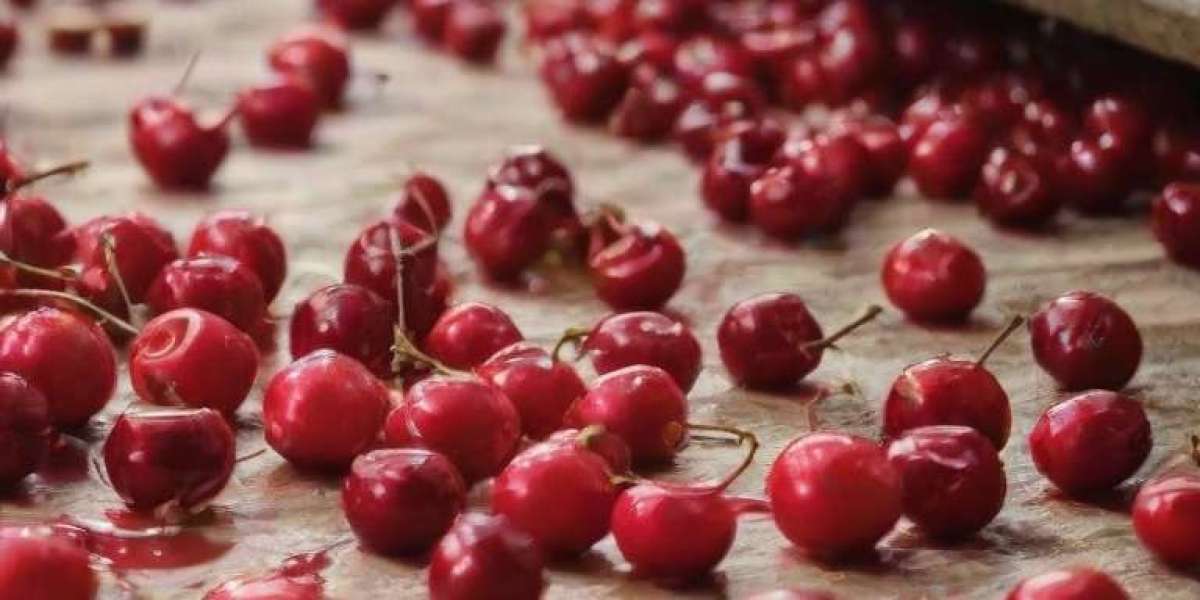 Acerola Cherry Processing Plant Project Report, Machinery Requirements, Plant Cost and Raw Material Requirements