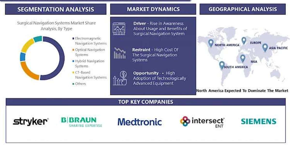 Surgical Navigation Systems Market Report Preview: 2030 Trends and Growth Status