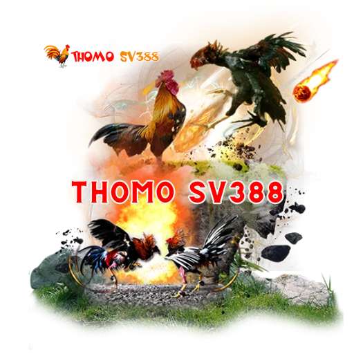 webthomo sv388