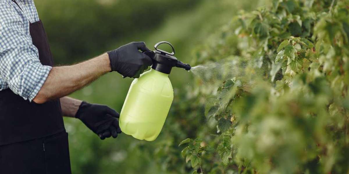 Pesticide Grade Methanol Market Scope, Applications and Competitive Outlook To 2032