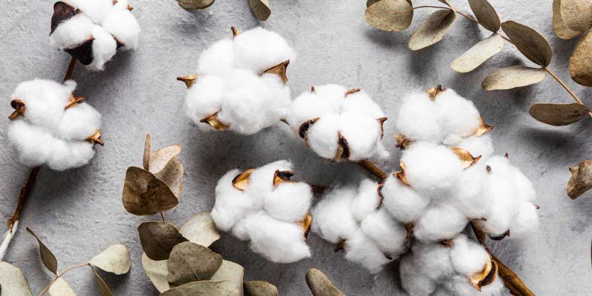Navigating CBOT Cotton: Insights into Commodity Valuation and Forecasting
