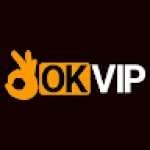 OKVIP Academy