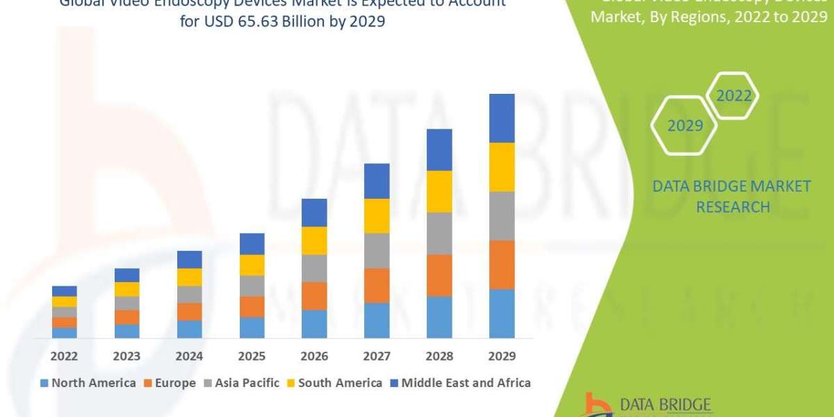 Video Endoscopy Devices Market segment, Industry Size, Growth, Demand, Opportunities and Forecast by 2030