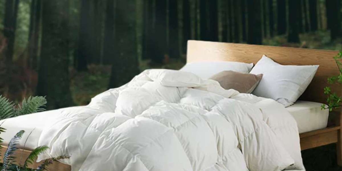 Sustainable Bedding: Embracing Comfort with a Conscience