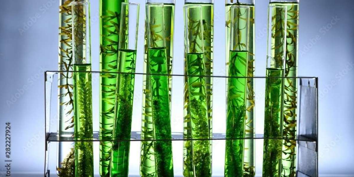 Alage Oil Market to Witness Revolutionary Growth by 2030