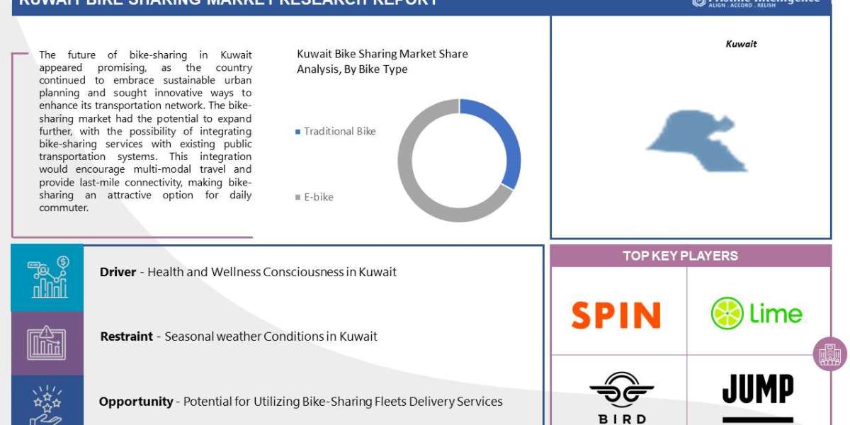 Global Kuwait Bike Sharing Market Demand Study on Mineral Ingredients (2023-2030)
