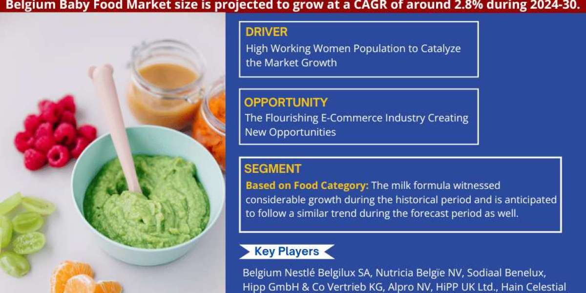 Belgium Baby Food Market: Analyzing the market values and market Forecast for 2030: Showcasing a CAGR of 2.8%