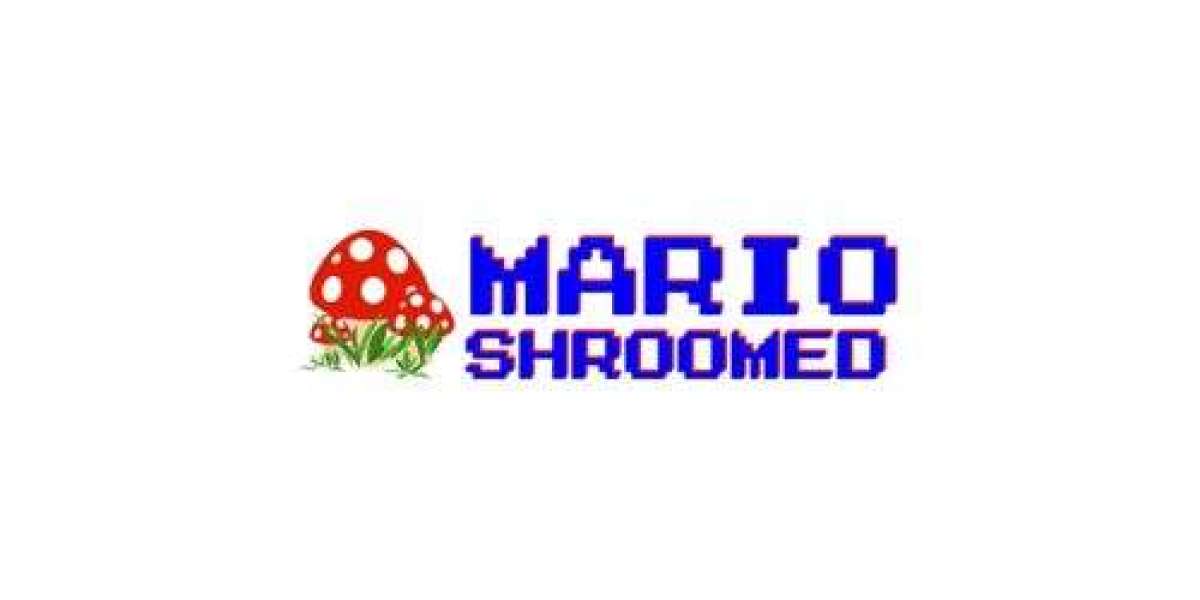 Game Strategy Guide Books By Mario Shroomed
