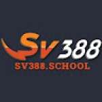 SV38 school