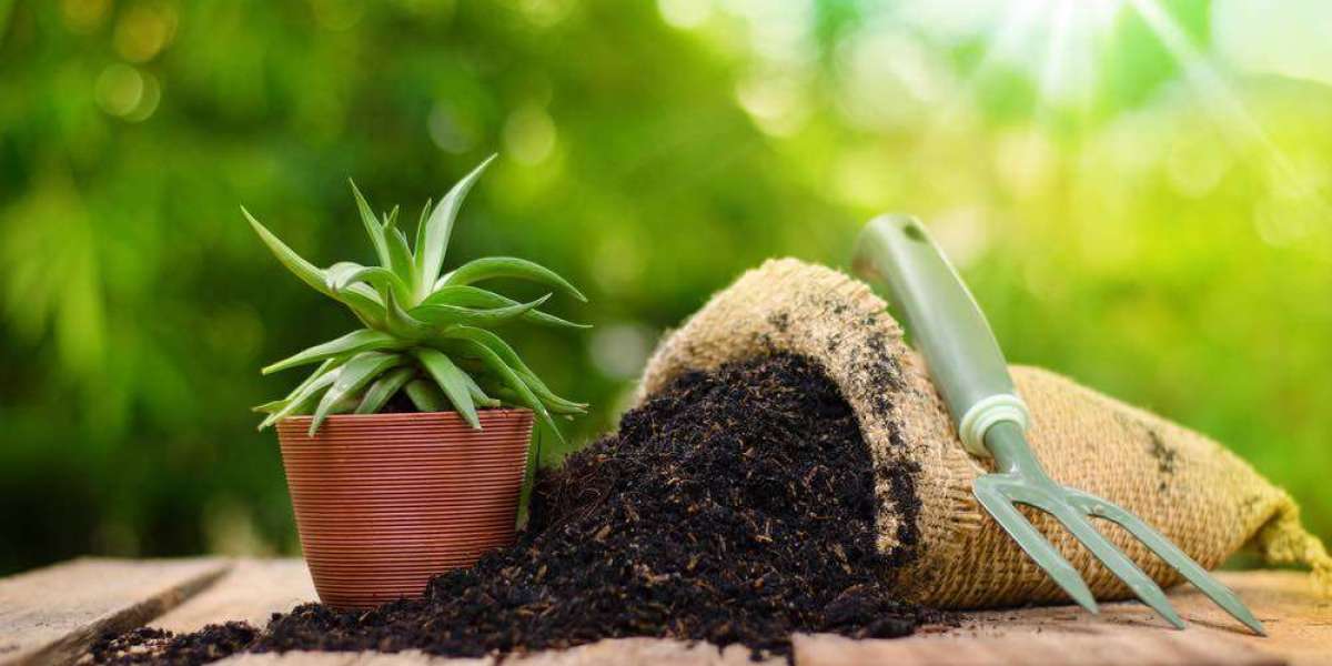 Organic Fertilizer Market to Grow with a CAGR of 11.32% through 2028