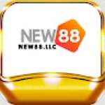 new88 llc