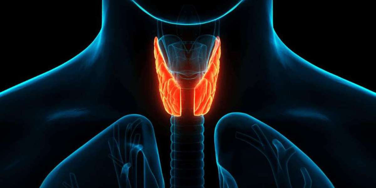 Thyroid Cancer Drug Market Research Report: Industry Insights, Growth, and Size 2028