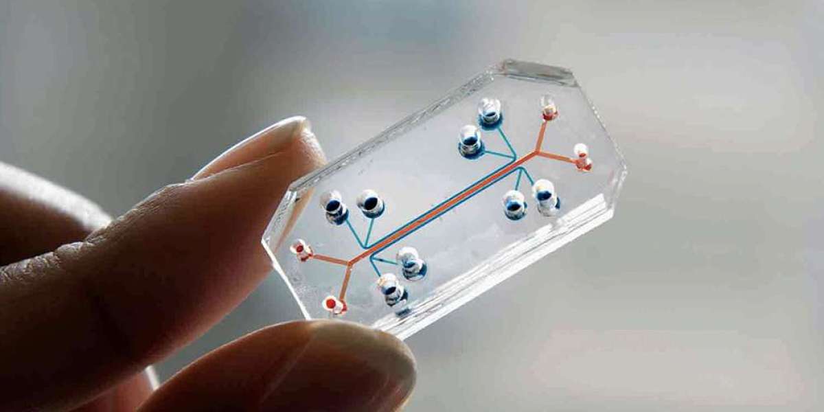 Organ-on-Chip Market Size 2022 - Application, Trends, Growth, Opportunities and Worldwide Forecast to 2032