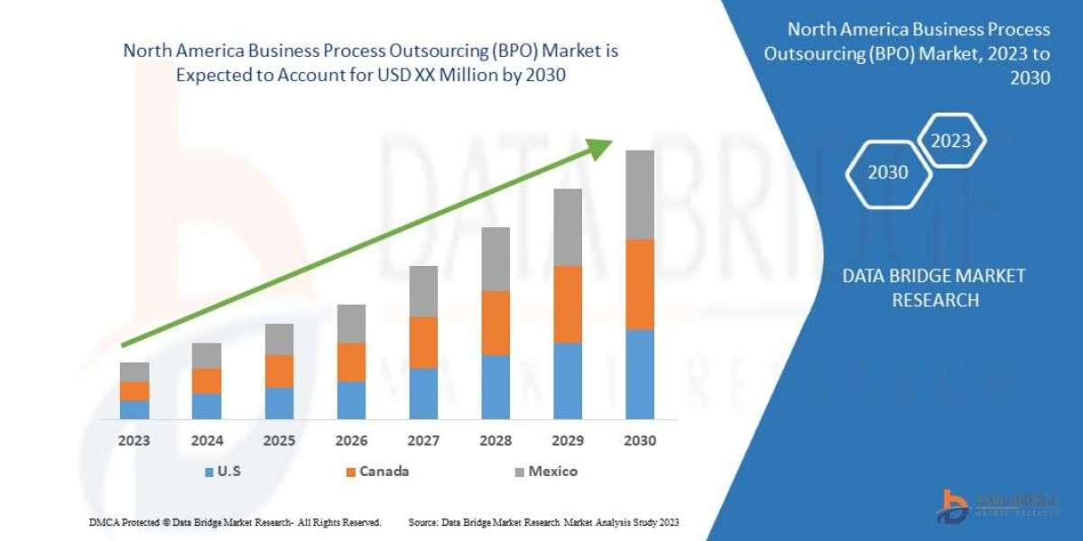 North America Business Process Outsourcing Market Is Likely to Grasp the CAGR of 8.3% by 2030, Size, Share, Key Drivers,