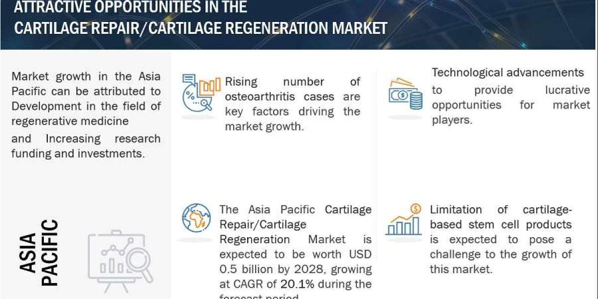 Innovative Solutions Driving Market Expansion: A Cartilage Repair Market Analysis