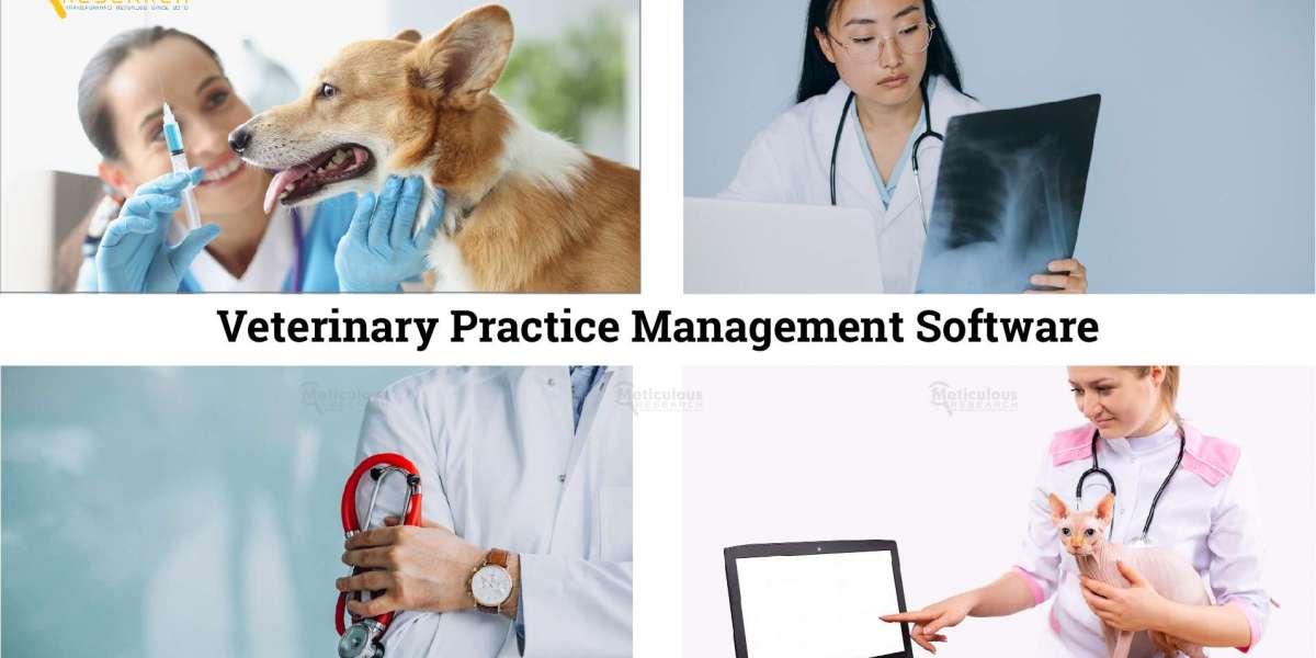 Veterinary Practice Management Software Market Worth $539.7 million by 2028