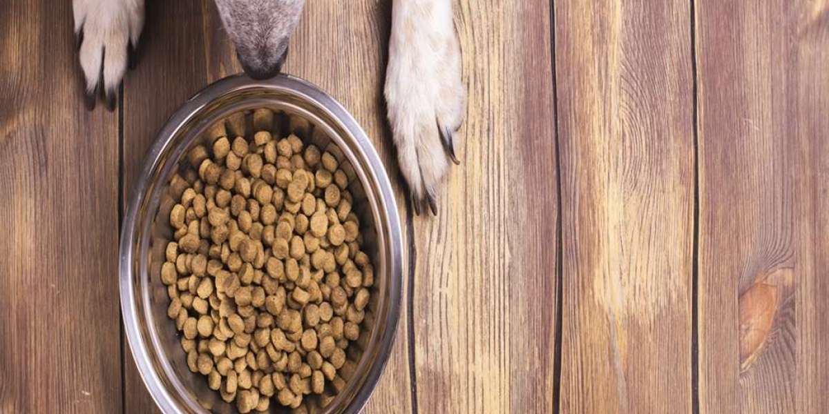 Setting up a Pet Food Manufacturing Plant: Project Report 2024 Edition