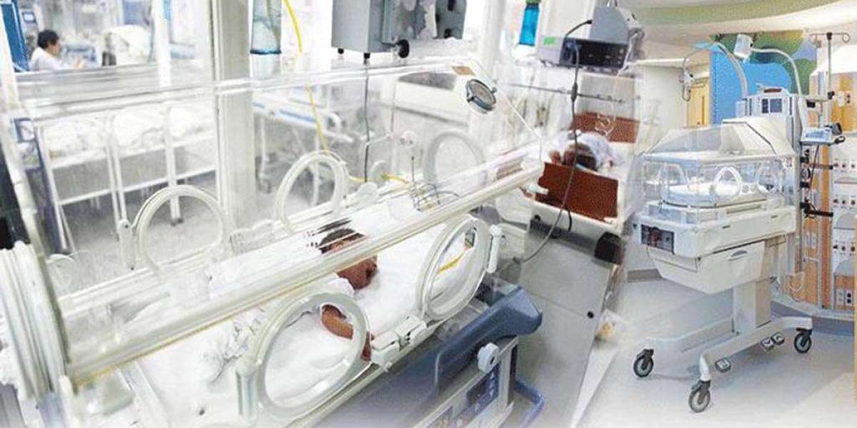 Fetal and Neonatal Care Equipment Market Size, Growth, Analysis, Trends and Forecast 2023-2028