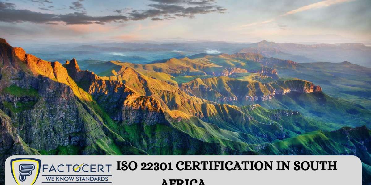 How does ISO 22301 certification affect an organization’s competitiveness?