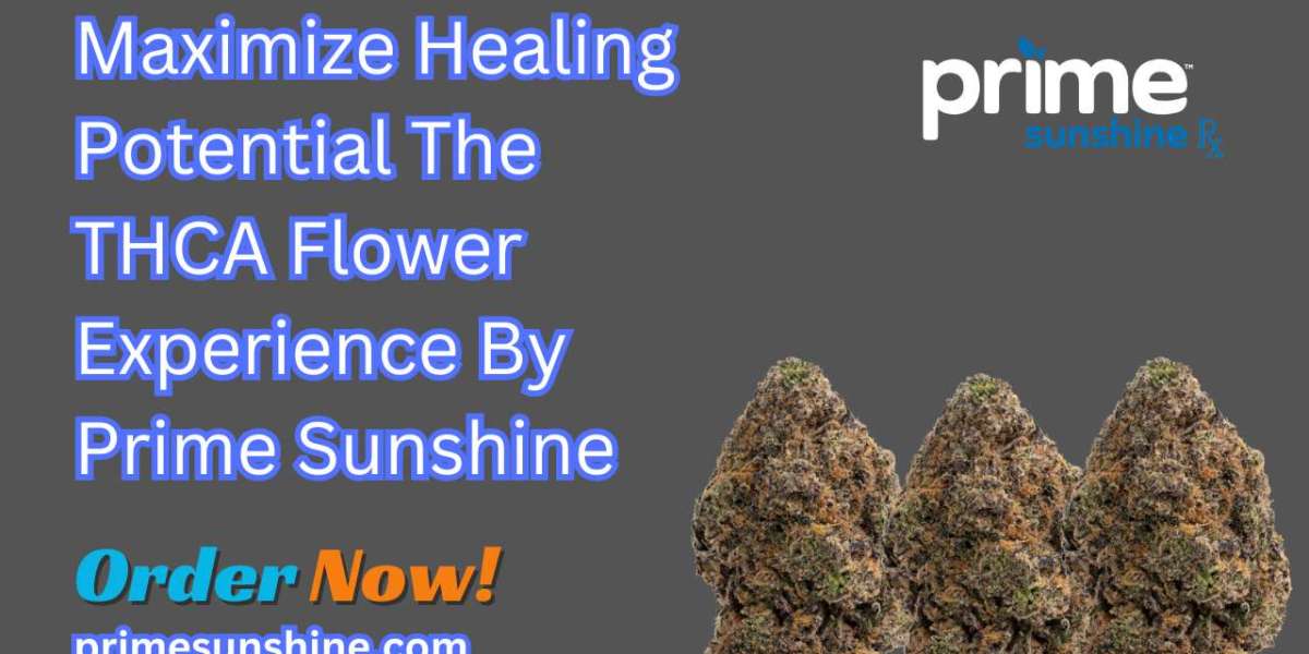 Maximize Healing Potential The THCA Flower Experience By Prime Sunshine