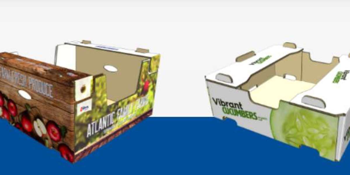 The Power of Corrugated Digital Printing Solutions
