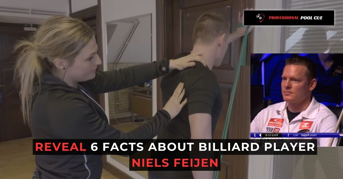 Reveal 6 Facts About Billiard Player Niels Feijen - Professional Pool Cue