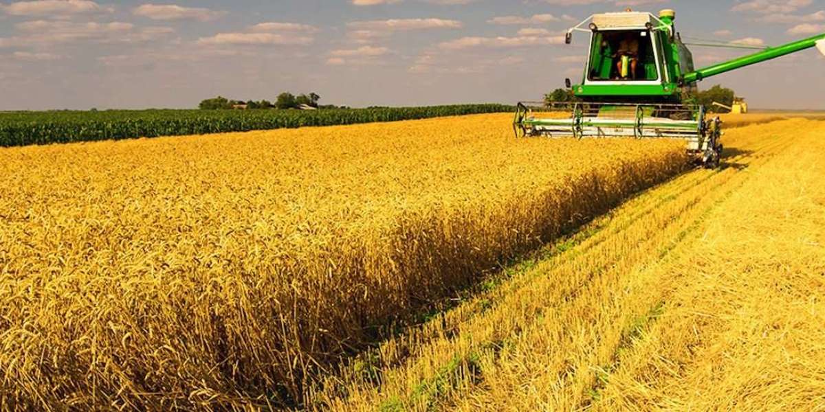 Agriculture Reinsurance Market Set for Explosive Growth