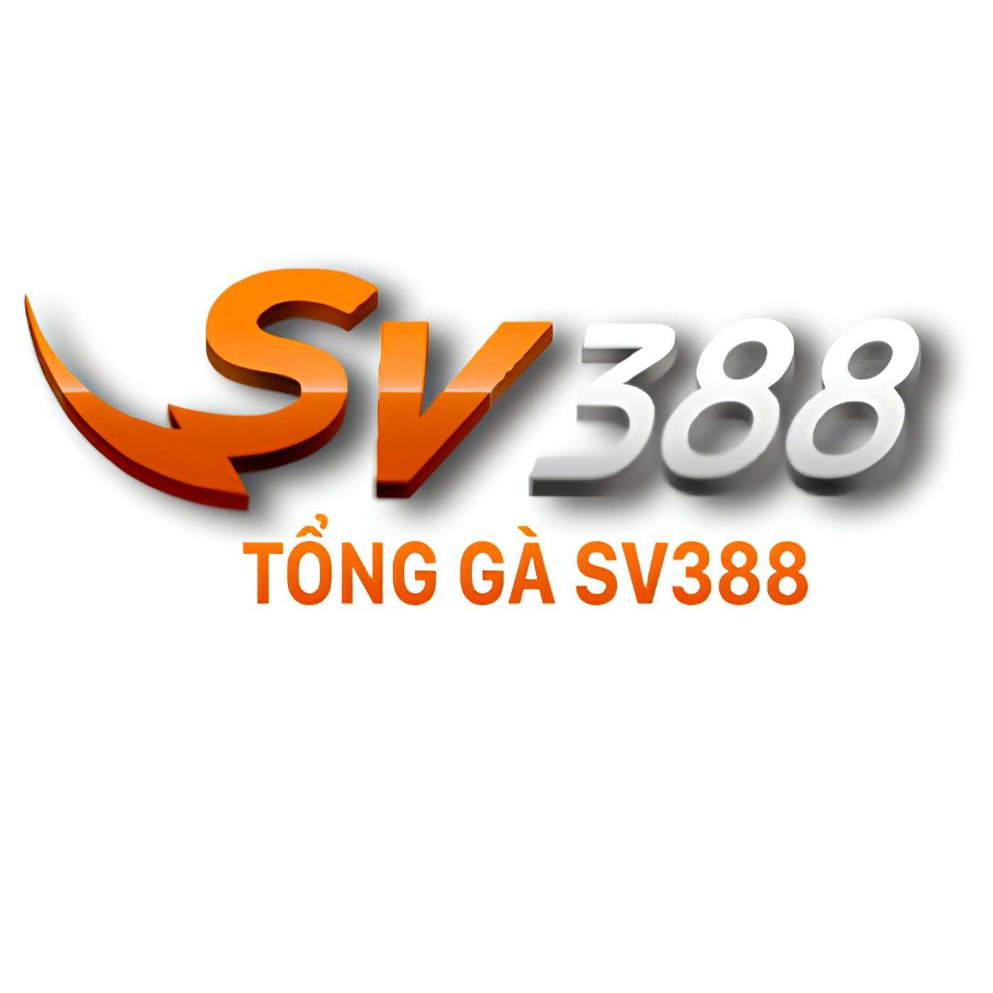 sv388tong net