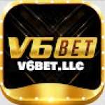 V6bet llc