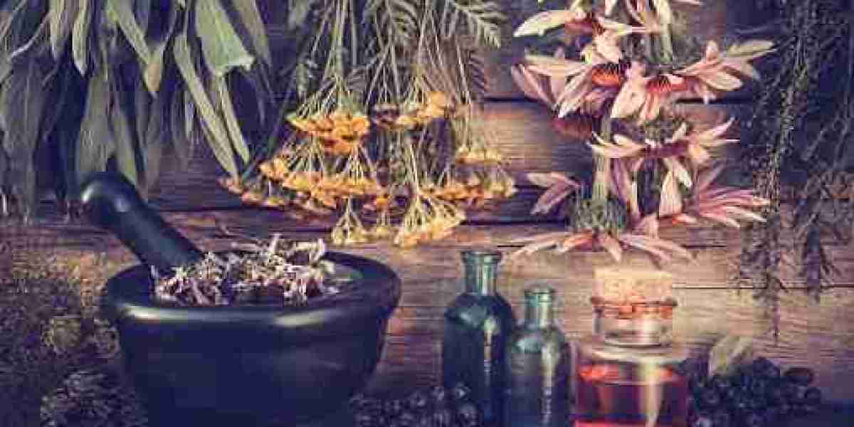 Botanical Extracts Market Insights: Drivers, Key Players, and Forecast 2030