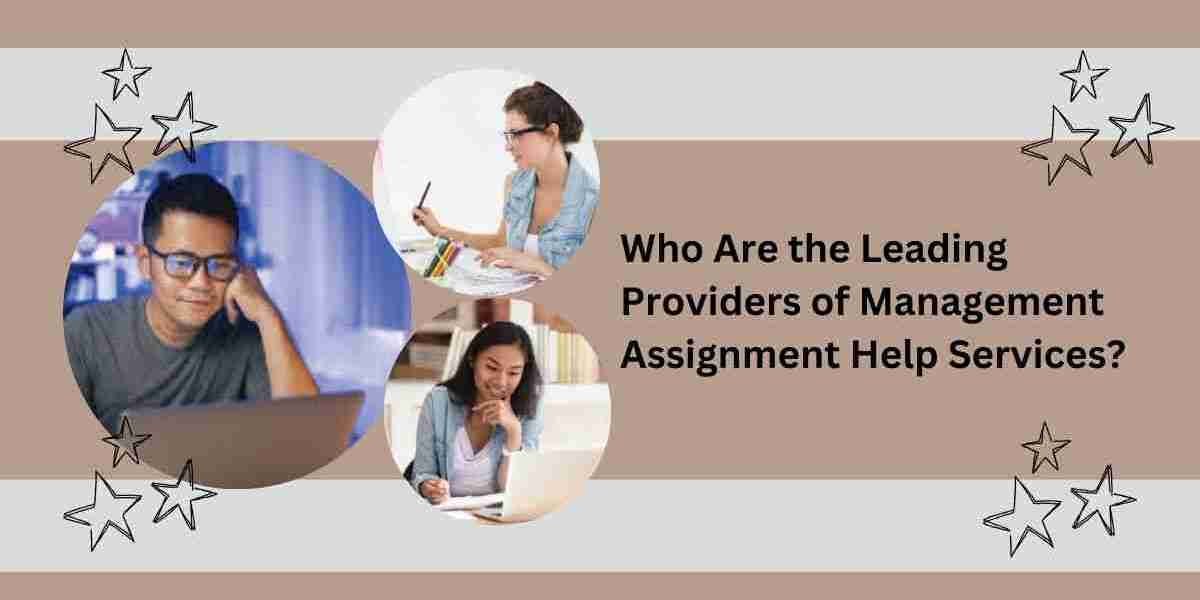 Who Are the Leading Providers of Management Assignment Help Services?