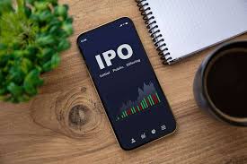 Expert Guide to IPO Investing: Strategies, Risks & Key Takeaways - Hindustan News