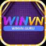 WINVN GURU