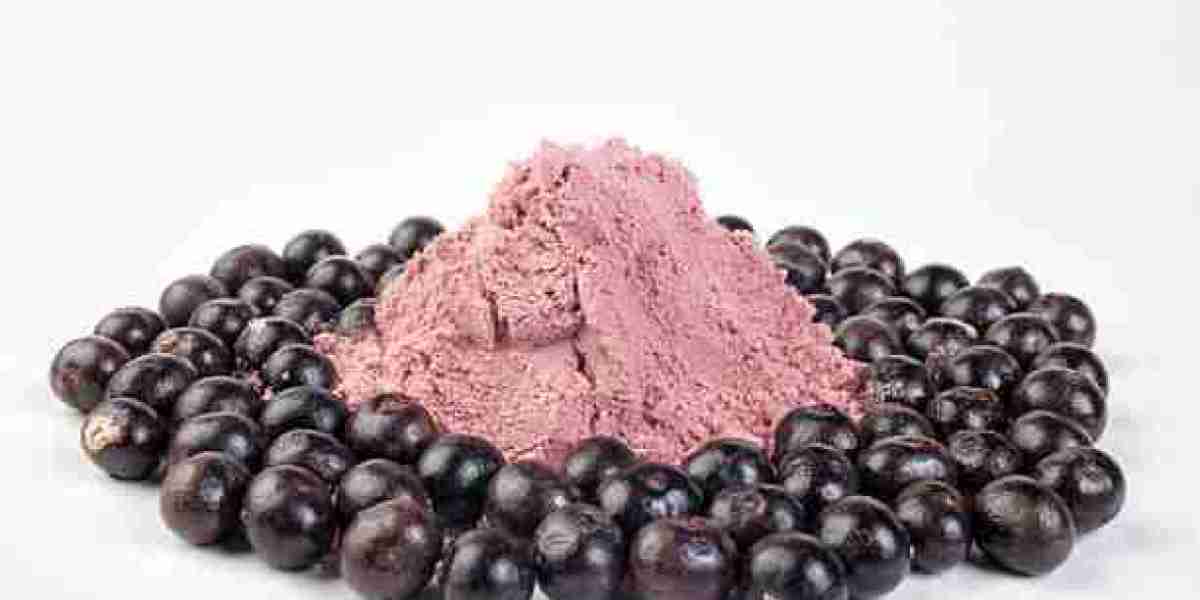 Fruit Powders Market Trends by Product, Key Player, Revenue, and Forecast 2030