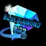 BlueDiamondBird