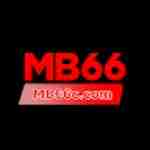 MB66 C