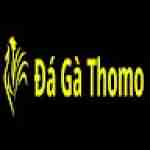 Đá gà Thomo