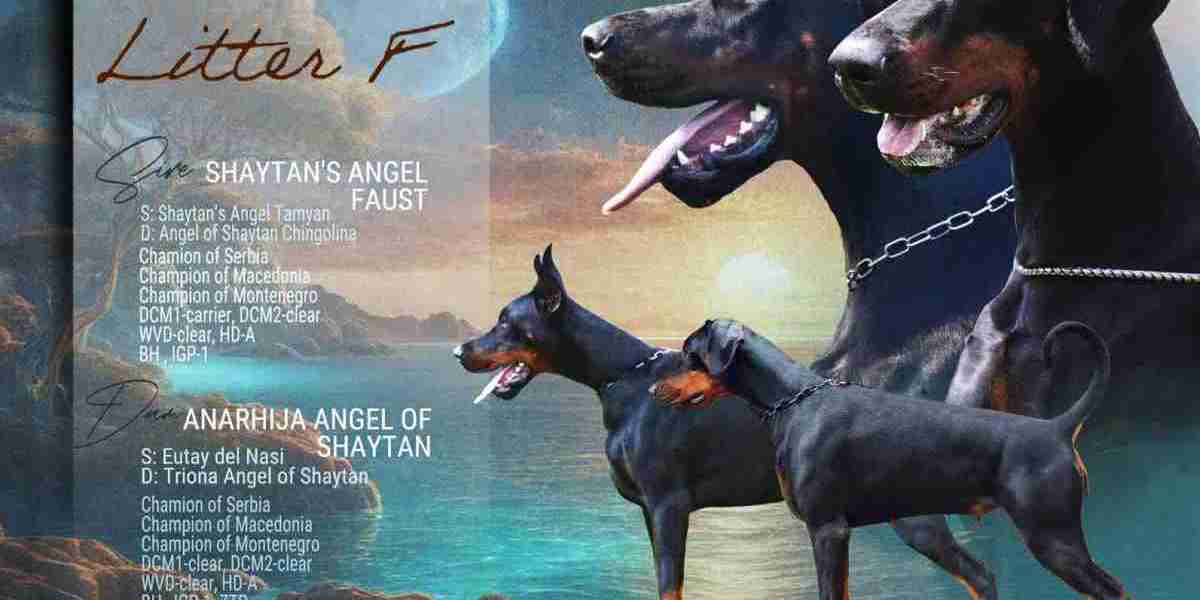 European Doberman Puppies: Are They Right for Your Active Lifestyle?
