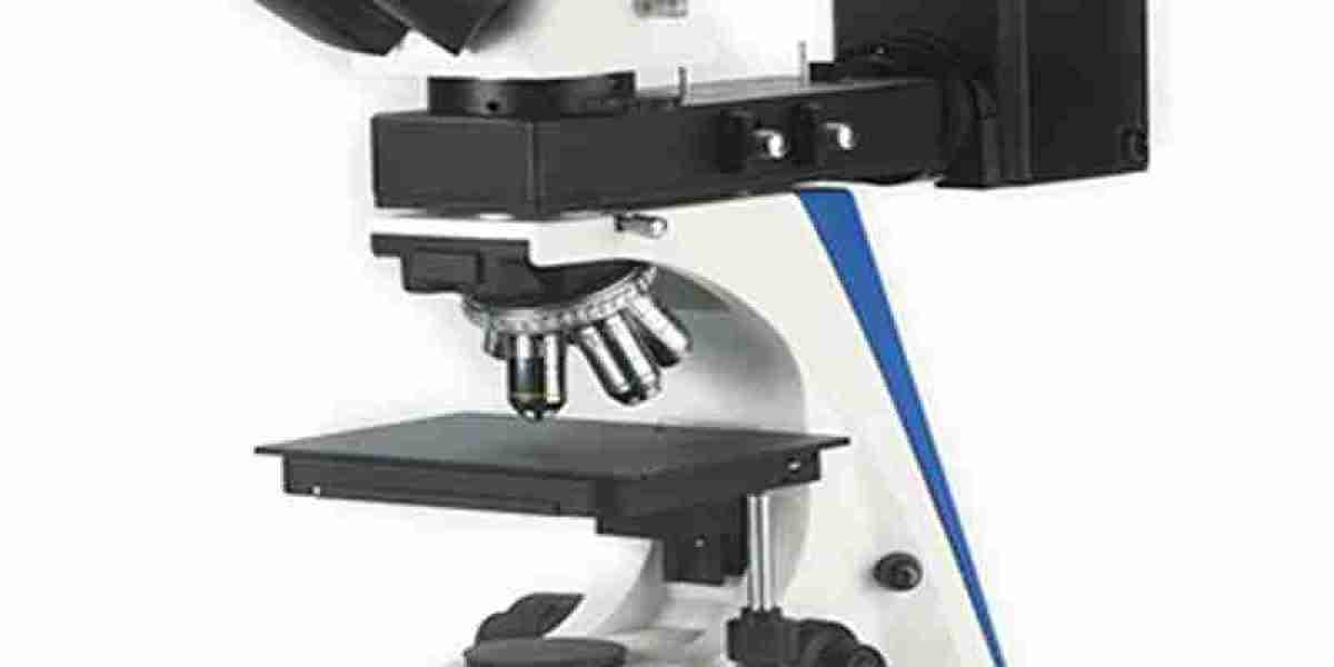 How to Maintain Microscope?